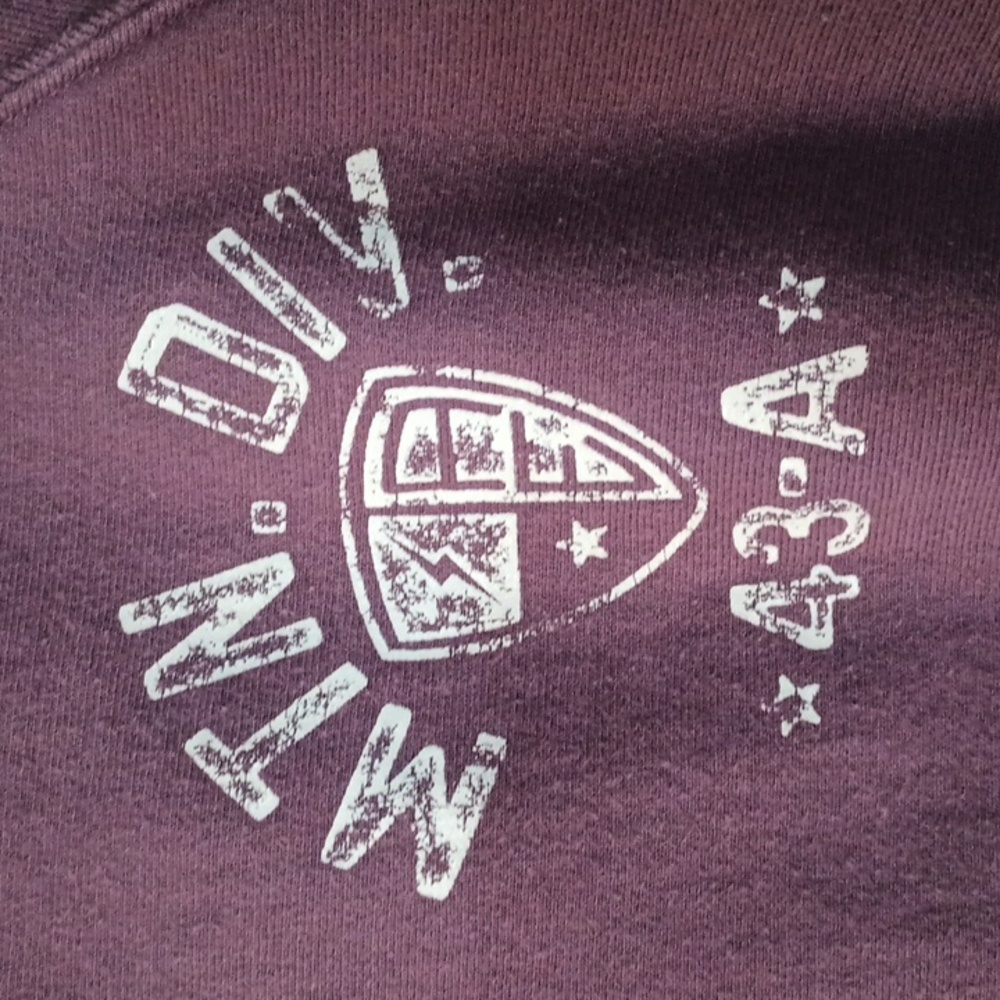 American Eagle Outfitters Unisex Purple Hoodie - Picture 3 of 3